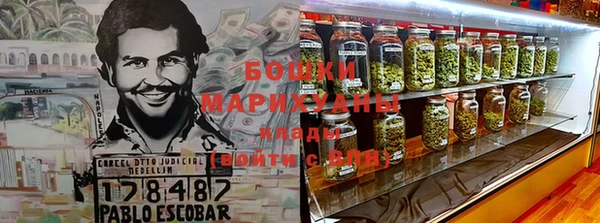 гидра Кинешма