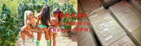 гидра Кинешма