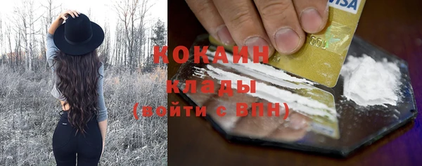 гидра Кинешма