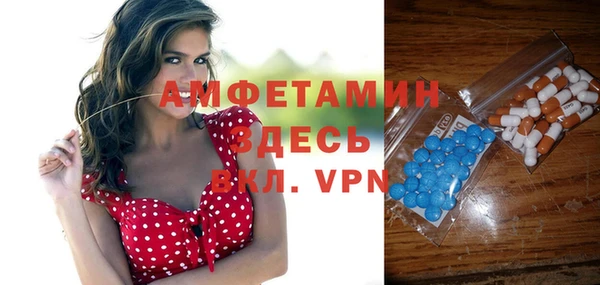гидра Кинешма