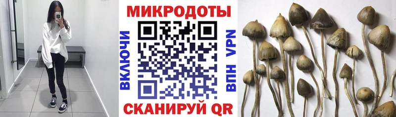 Галлюциногенные грибы мицелий Ветлуга